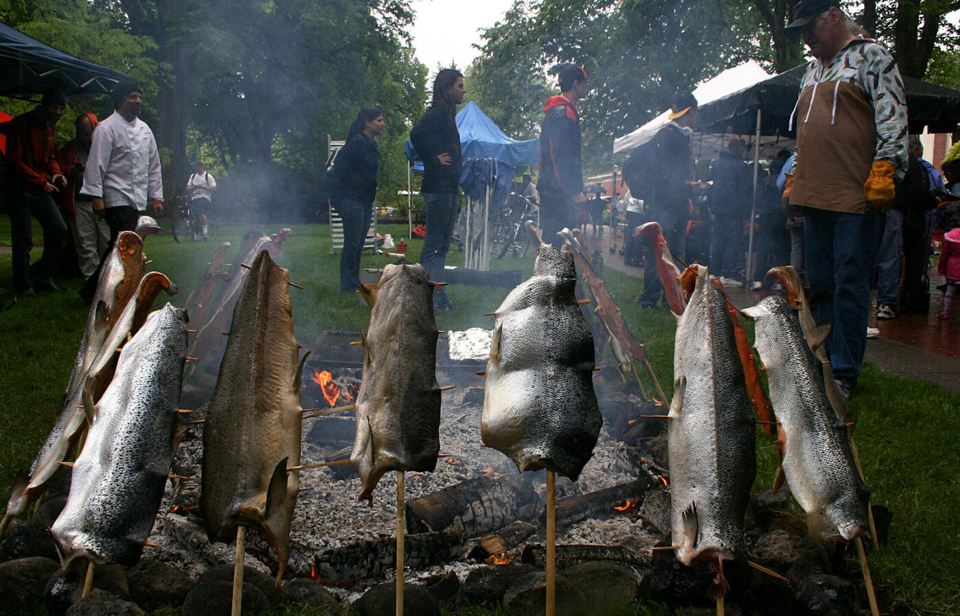 Salmon on wooden stakes roasting over an open fire in an outdoor setting.