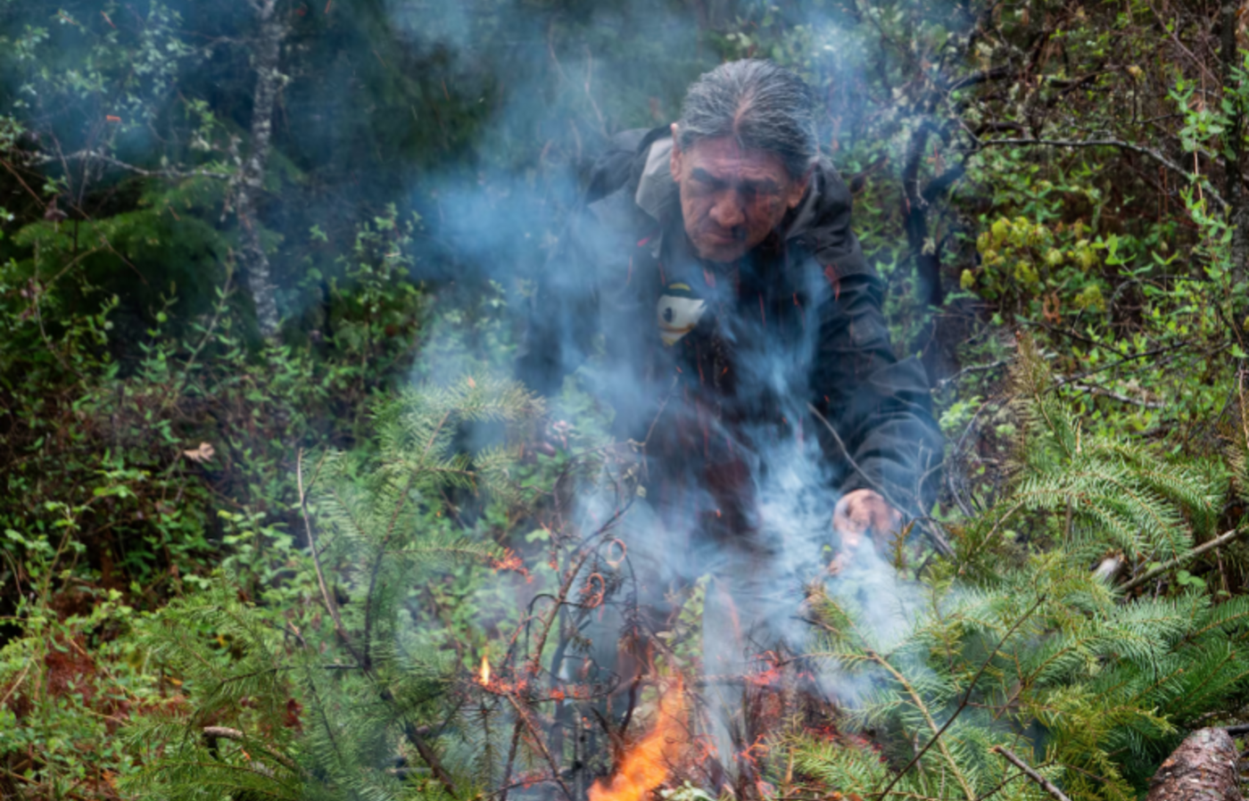 An elder tends a pile of burning conifer boughs beneath black oak trees.